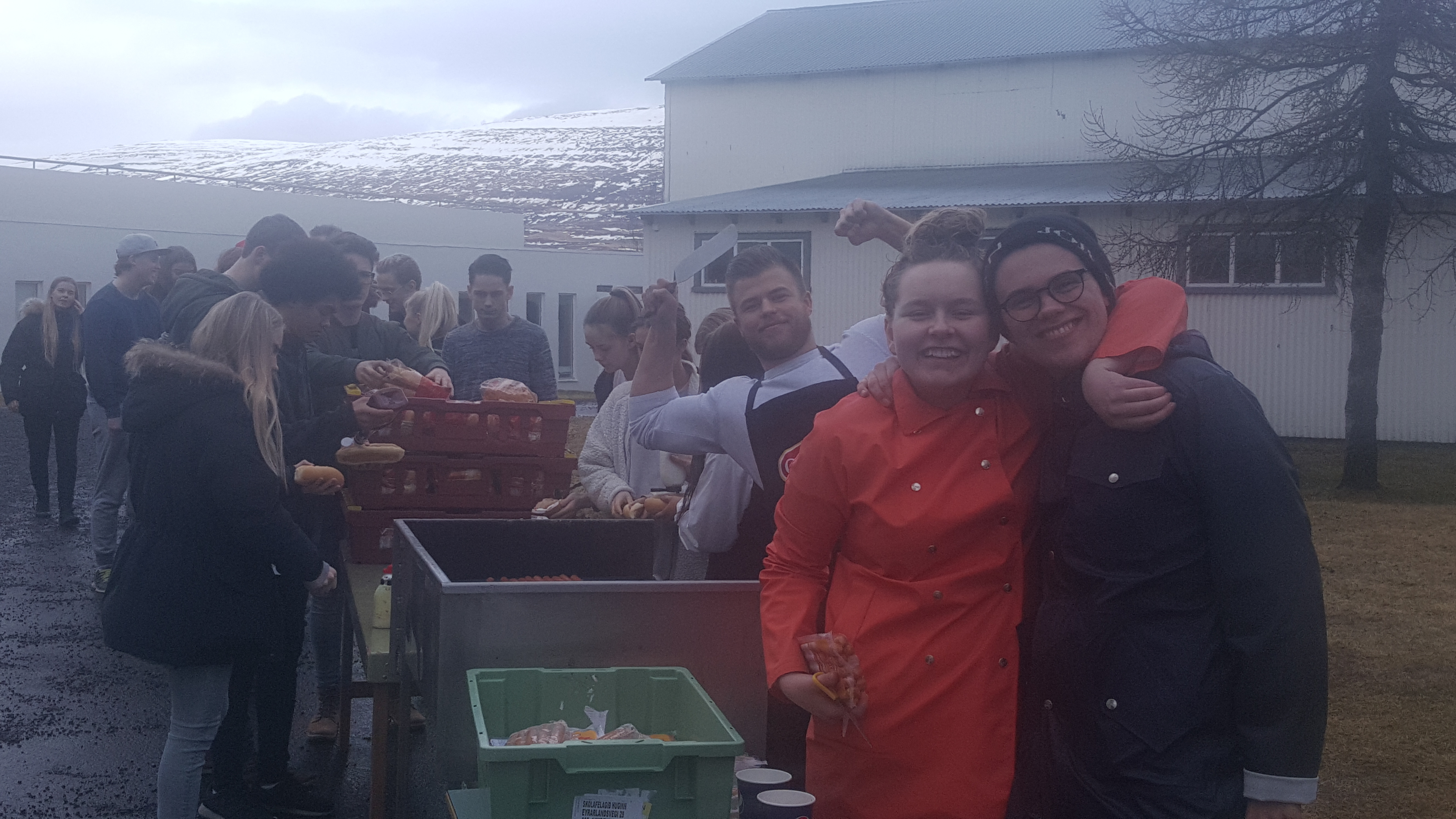 Íþróttir 2017