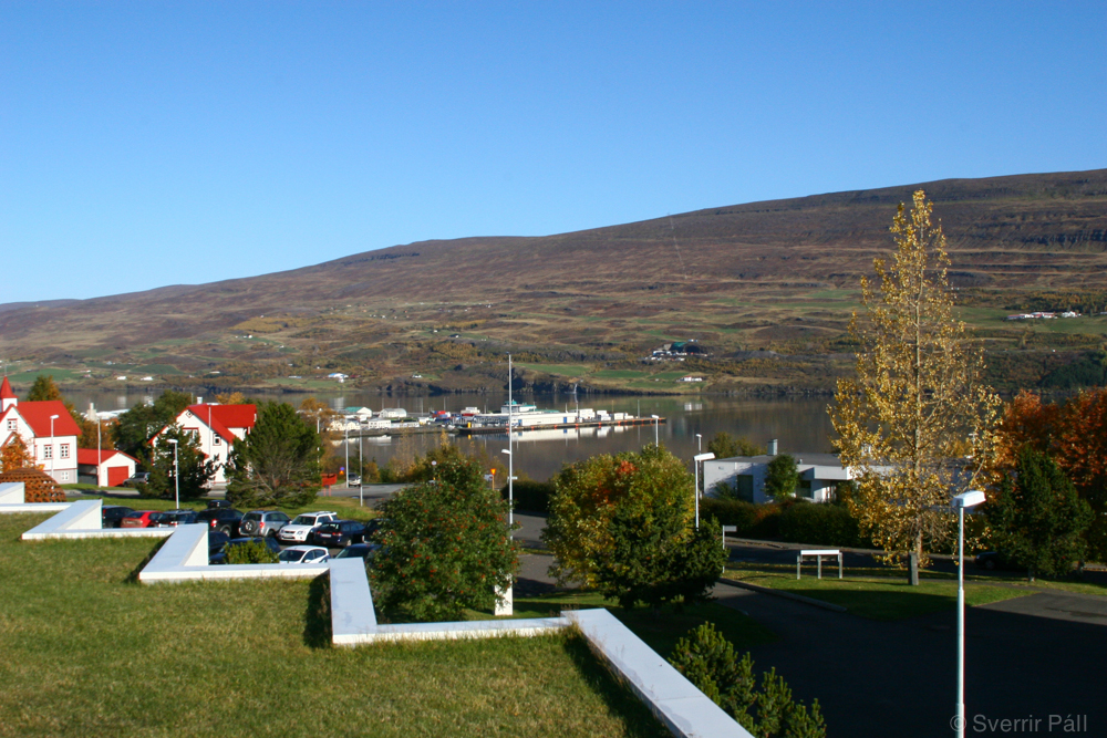 Haustfegurð