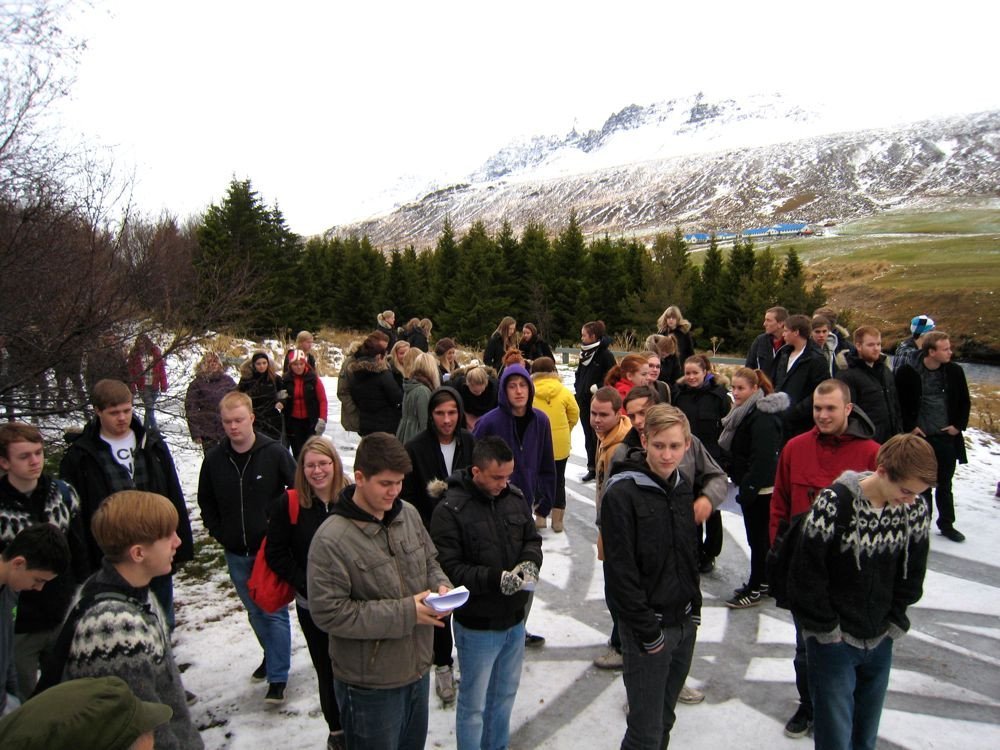 Í Jónasarlundi