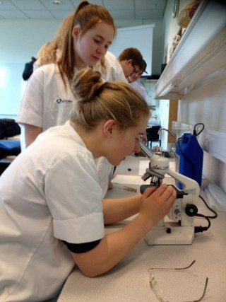 Bakteríur í umhverfinu