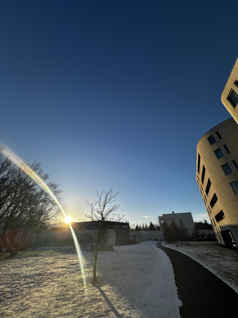 Fréttabréf MA vor 2025