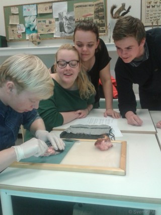 Spennandi kennslustund