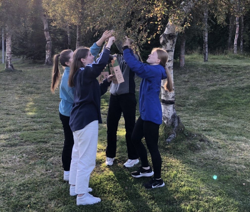 Nemendur í 3T við störf í Kjarnaskógi