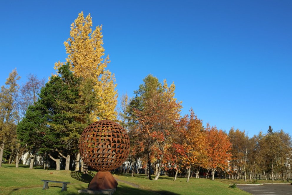 Miðannarmat, fréttabréf og haustfrí