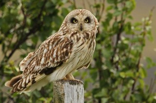 Mynd: Helga Guðmundsdóttir