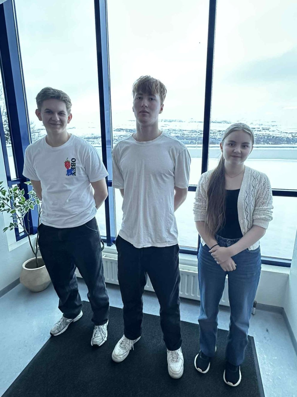 Elvar Björn, Tobias Þórarinn og Snædís Hanna komust áfram í stærðfræðikeppninni