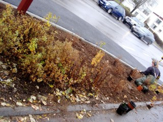 Árangur 1. bekkur D