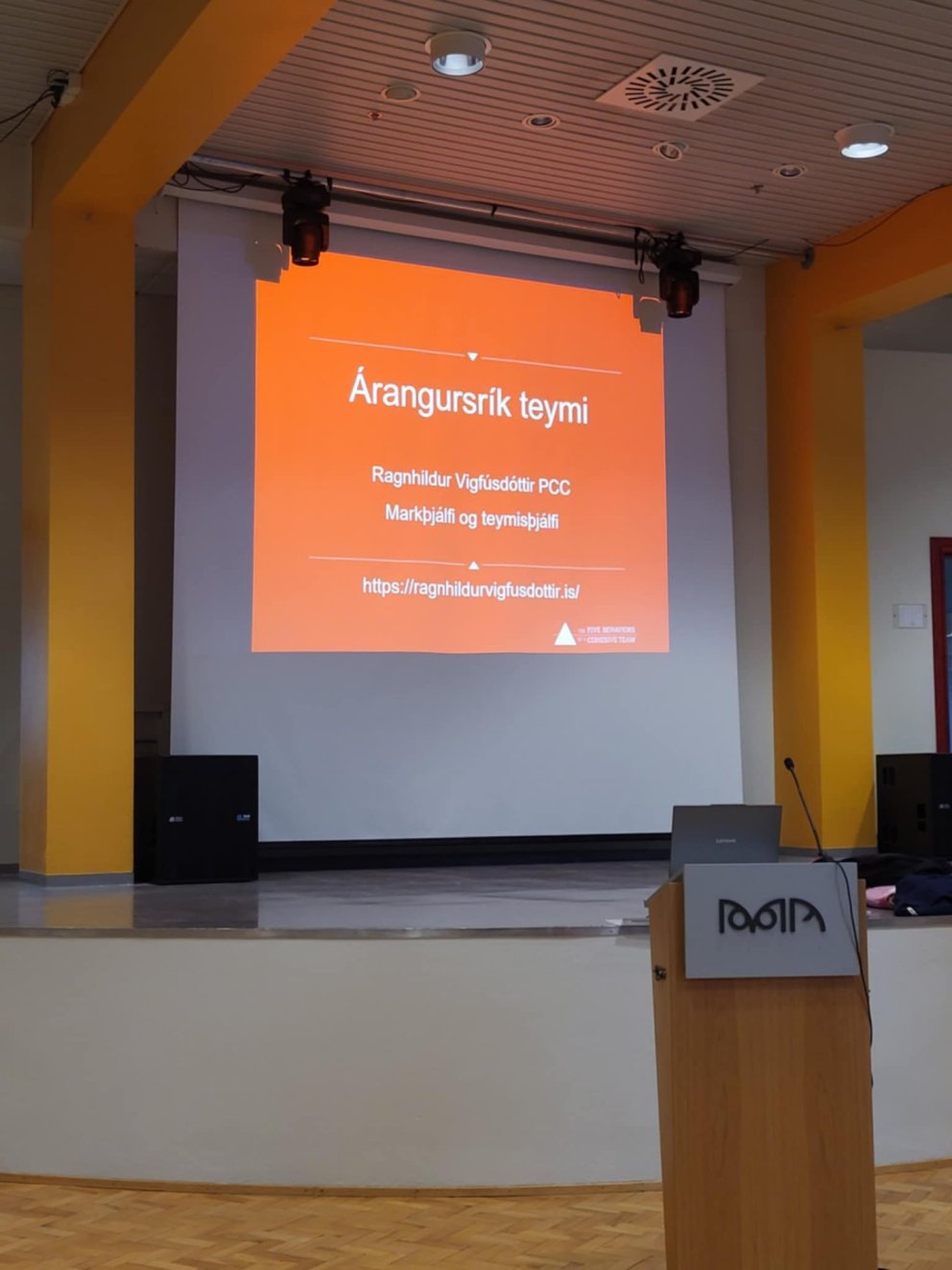 Námskeið um árangursrík teymi