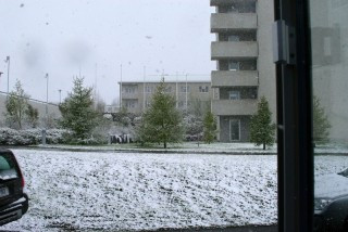 Dimissio í vetrarlegu veðri