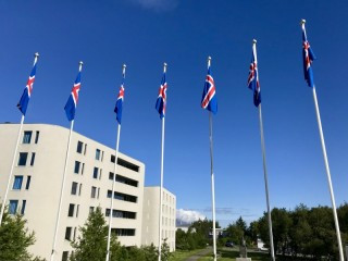 Úthlutanir úr Uglusjóði