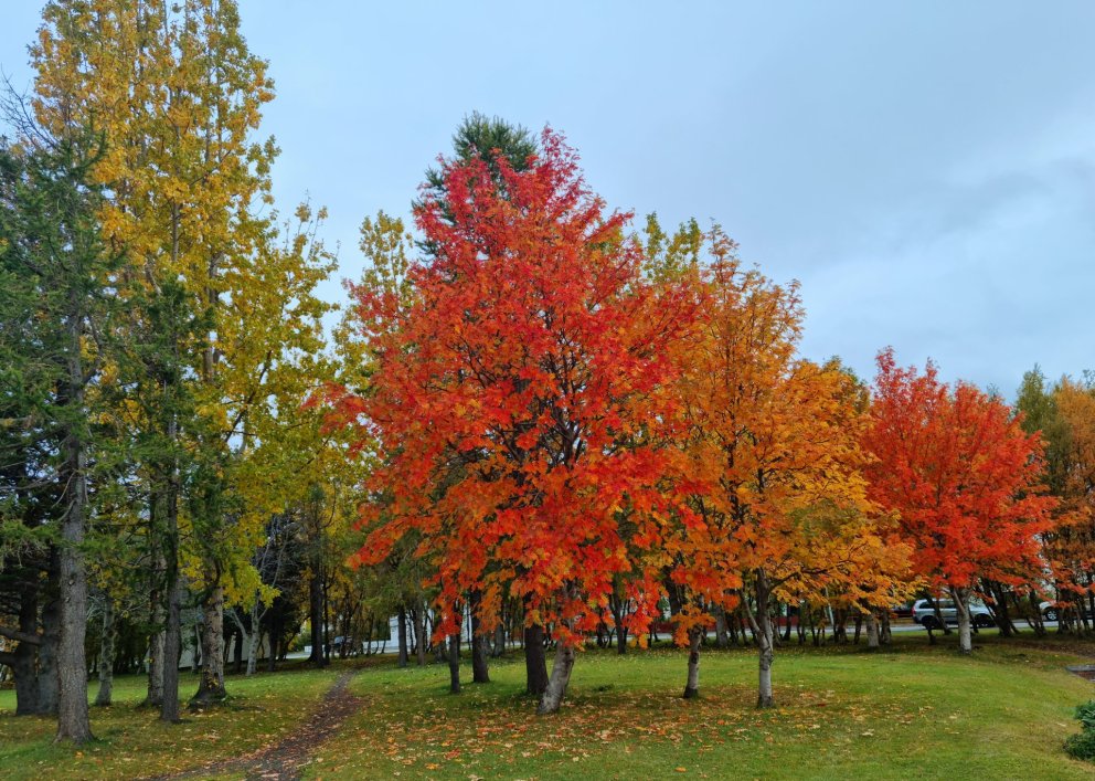 Haustþing starfsfólks í framhaldsskólunum á Norðurlandi