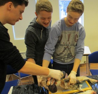 Fiskidagar í náttúrulæsi