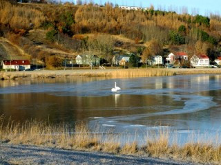 Október í Innbænum