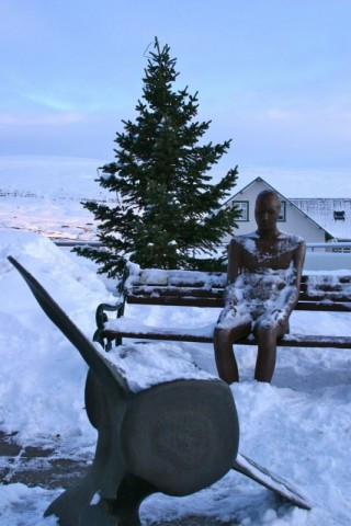 Tilveran köld, beinið og jólatréð 3. jan 2012