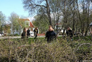 Heinsun á skólalóðinni