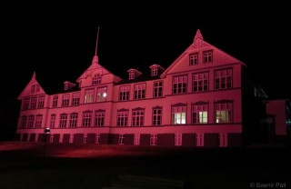 Bleikur október - MA