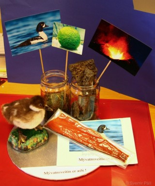 Mývatnssveitin er æði...