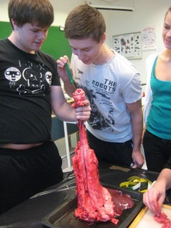 Krufning hjá Kristínu og 3XY