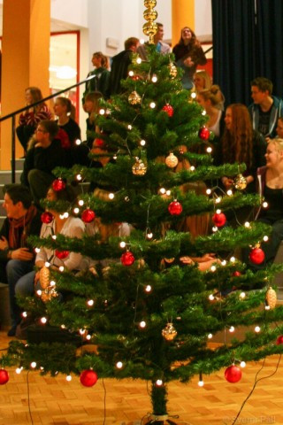 Jólatré í Kvosinni stendur...