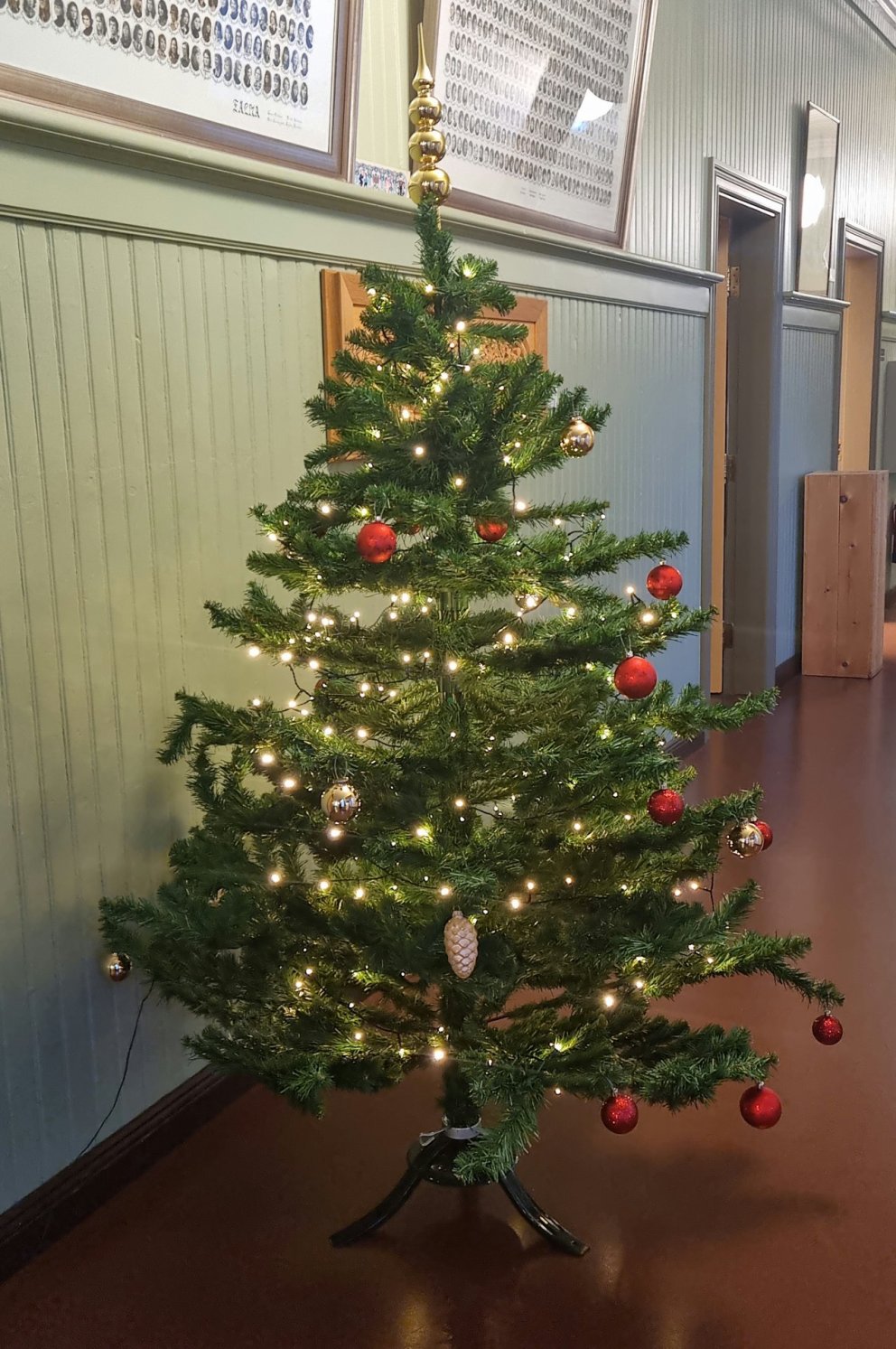 Jólatré á Langa gangi í Gamla skóla