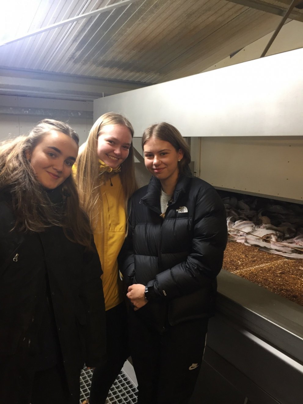 Nemendur skoða Laugafisk í Reykjadal