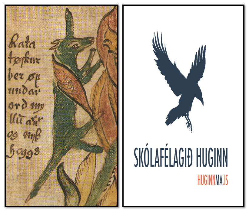 Fjölbreytt dagskrá verður á Ratatoski