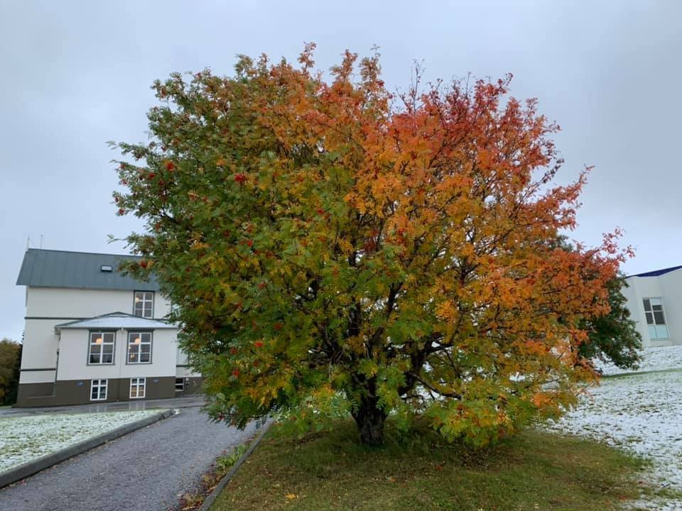 Skólastarf frá og með 6. október