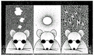 Þýskuþrautin 2017