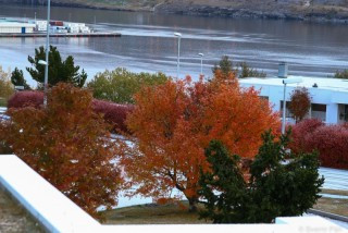 Útsýni frá Hólum