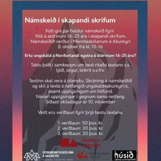 Kött grá pje og keppni í ritun