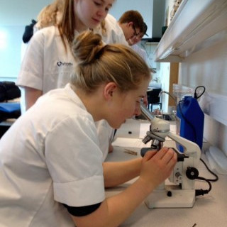 Bakteríur í umhverfinu