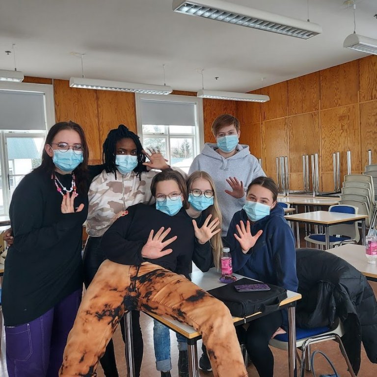 Nemendur á hraðlínu skólaárið 2020-21