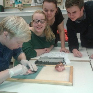 Spennandi kennslustund