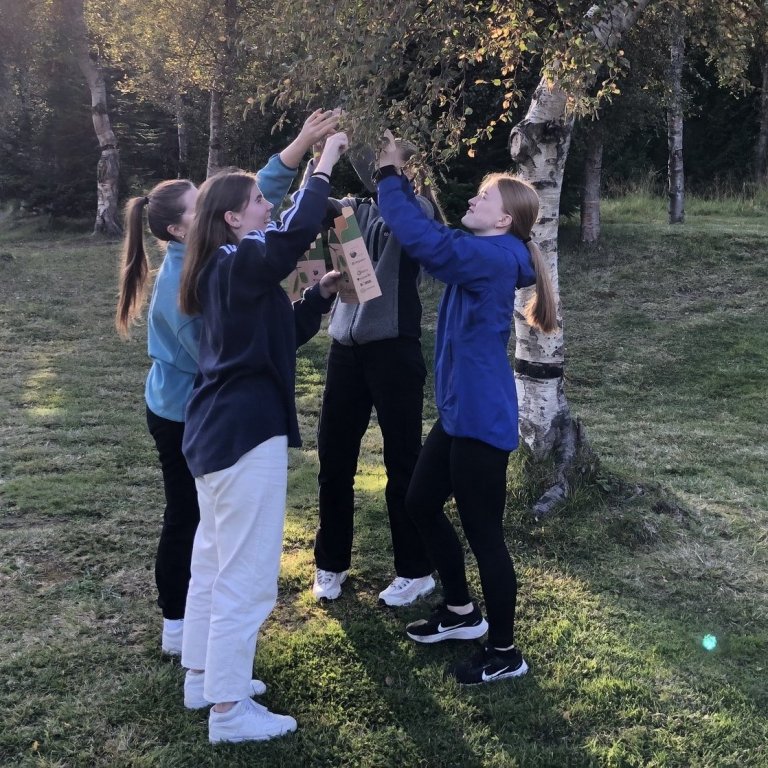 Nemendur í 3T við störf í Kjarnaskógi