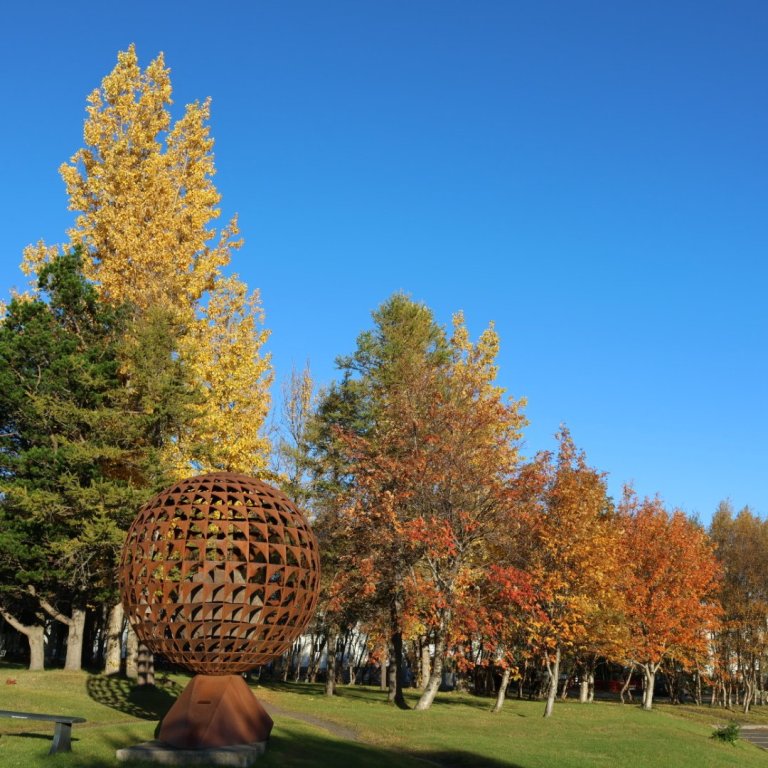 Miðannarmat, fréttabréf og haustfrí