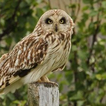 Mynd: Helga Guðmundsdóttir