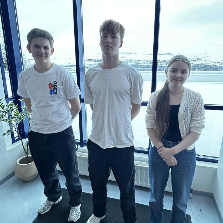 Elvar Björn, Tobias Þórarinn og Snædís Hanna komust áfram í stærðfræðikeppninni