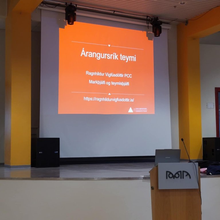 Námskeið um árangursrík teymi