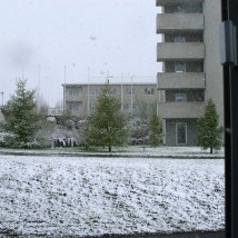 Dimissio í vetrarlegu veðri