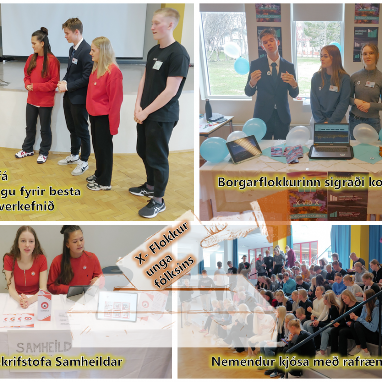 Mikið var um dýrðir hjá nemendum í menningarlæsi í dag