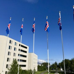 Úthlutanir úr Uglusjóði