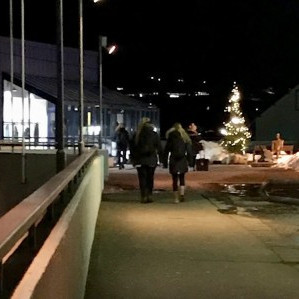 Próflok og jólaleyfi