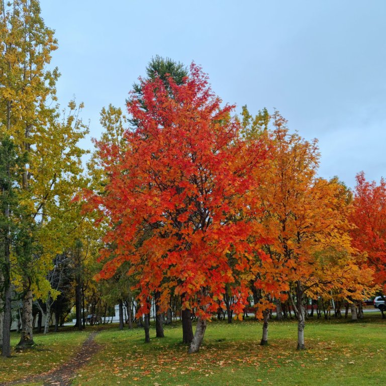 Haustþing starfsfólks í framhaldsskólunum á Norðurlandi