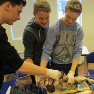 Fiskidagar í náttúrulæsi