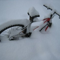 Snjór, snjór, snjór