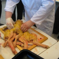 Áttfætti hrúturinn