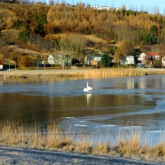 Október í Innbænum