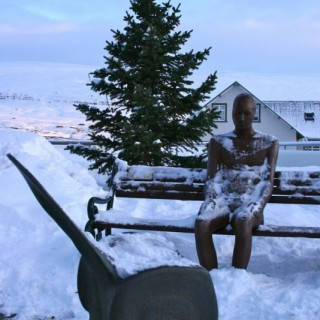 Tilveran köld, beinið og jólatréð 3. jan 2012