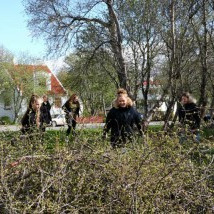 Heinsun á skólalóðinni