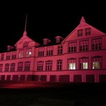 Bleikur október - MA